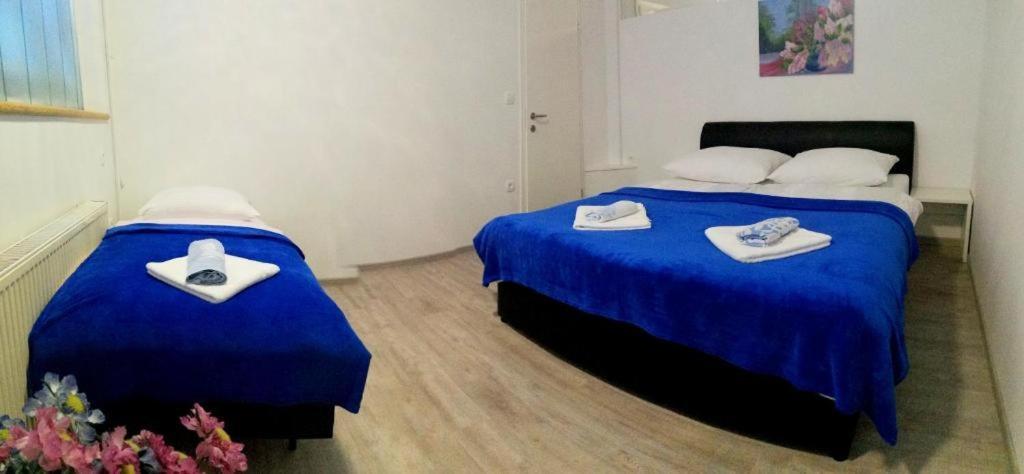 Apartma As Lesce  Exteriör bild