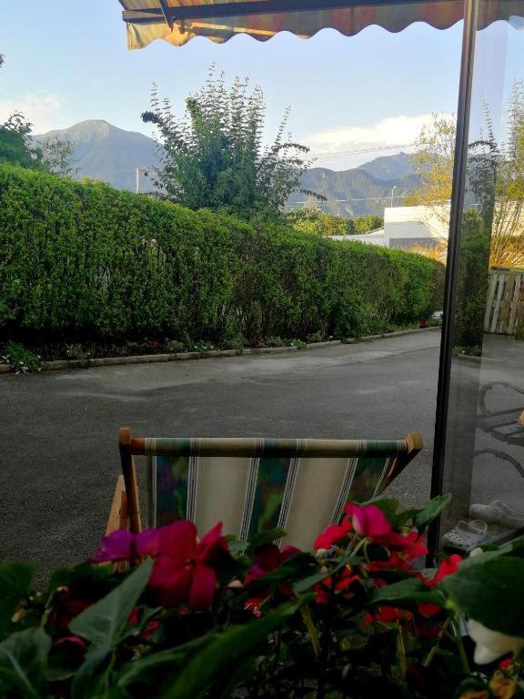 Apartma As Lesce  Exteriör bild